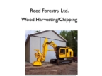 Reed Forestry Brochure